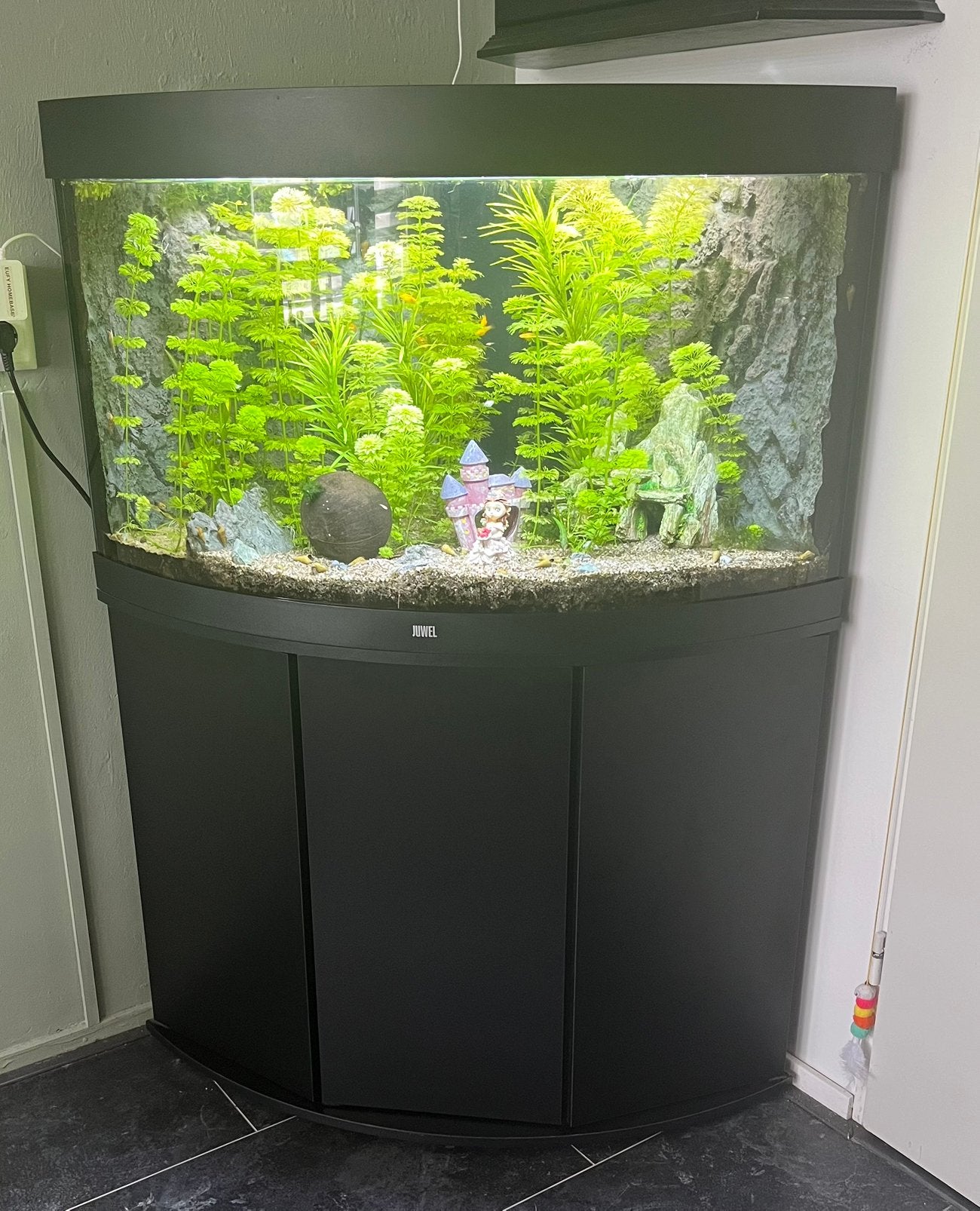 Mooi Juwel Trigon 190 Aquarium met Meubel (Zwart), Dieren en Toebehoren, Ophalen, Verwarming, Gebruikt, Leeg aquarium