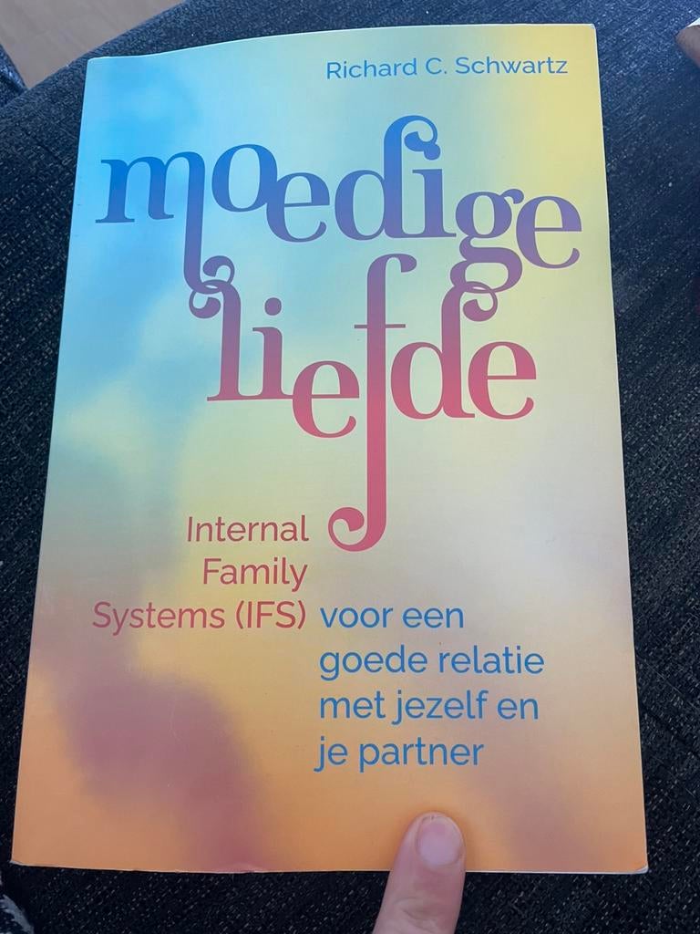 Richard C. Schwartz - Moedige liefde, Boeken, Ophalen of Verzenden, Zo goed als nieuw, Richard C. Schwartz