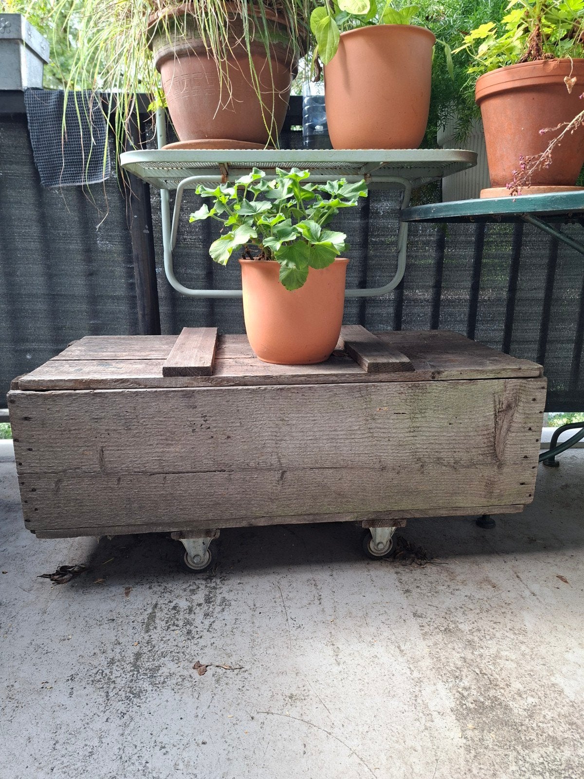 houten kist op wielen, Ophalen, 50 tot 100 cm, Minder dan 50 cm