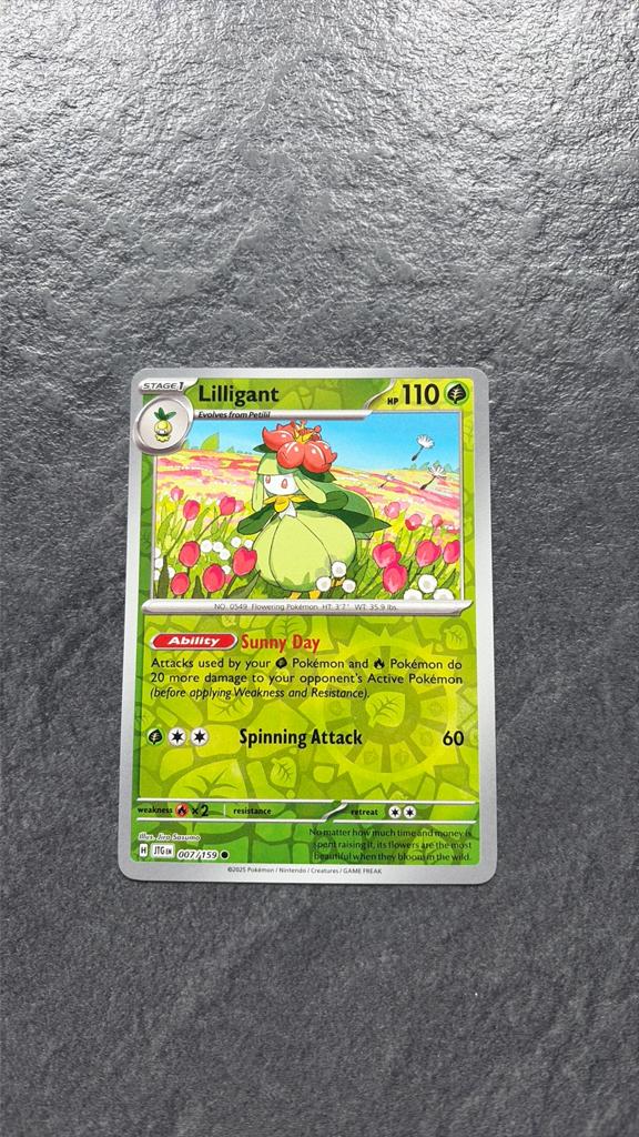 Lilligant, Ophalen of Verzenden, Zo goed als nieuw