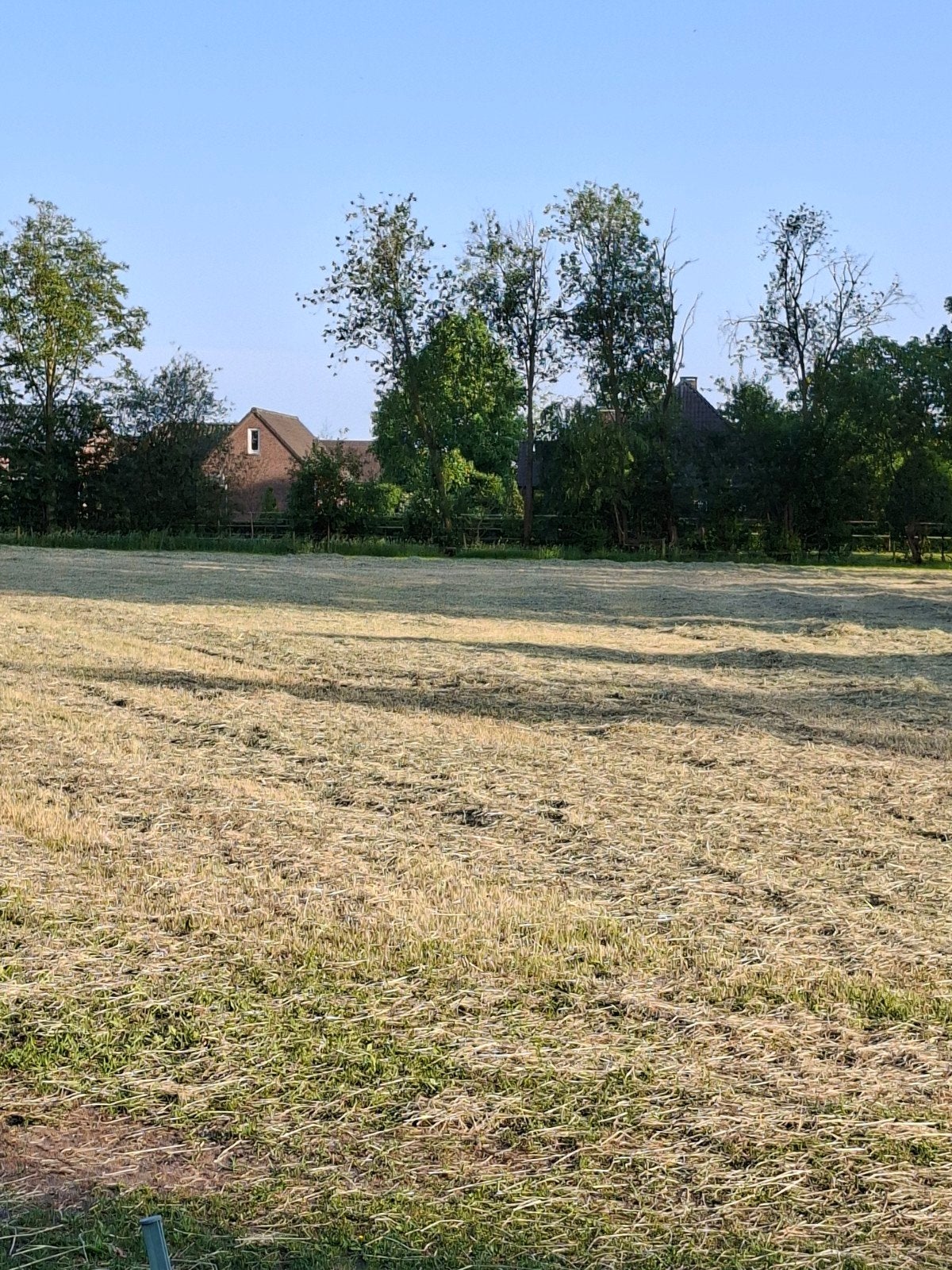 Pakjes hooi