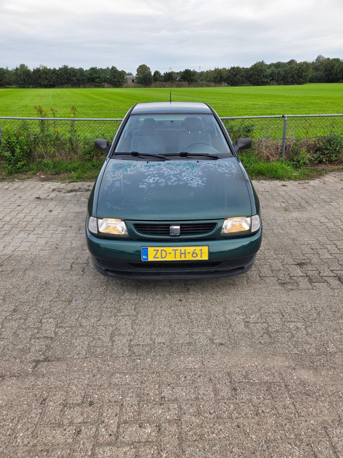 Seat Ibiza 1.6 55KW AUT 1999 Groen, Stof, 74 pk, 4 cilinders, 990 kg