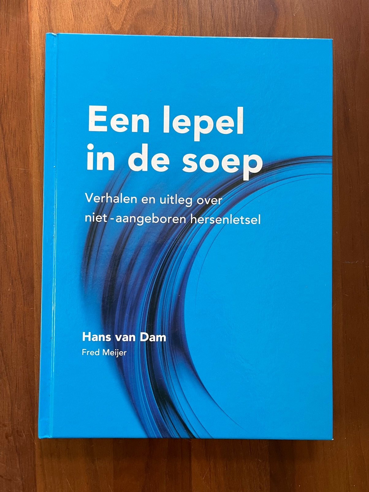 Een lepel in de soep Hans van Dam, Boeken, Ophalen of Verzenden, Zo goed als nieuw