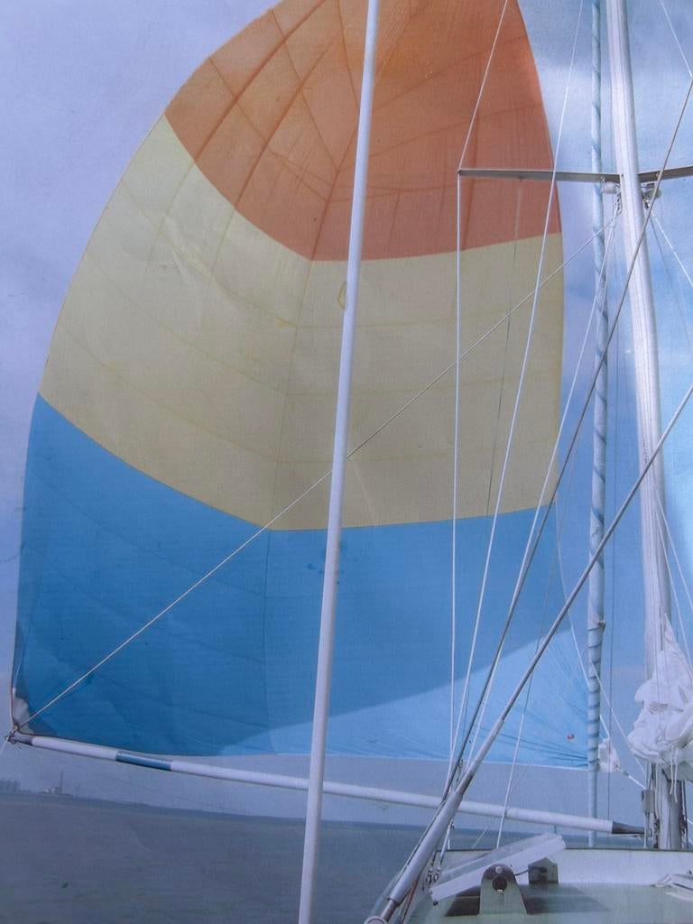 Driekleurige spinnaker 79 m2, Watersport en Boten, Ophalen, 6 meter of meer, Spinnaker, Zo goed als nieuw