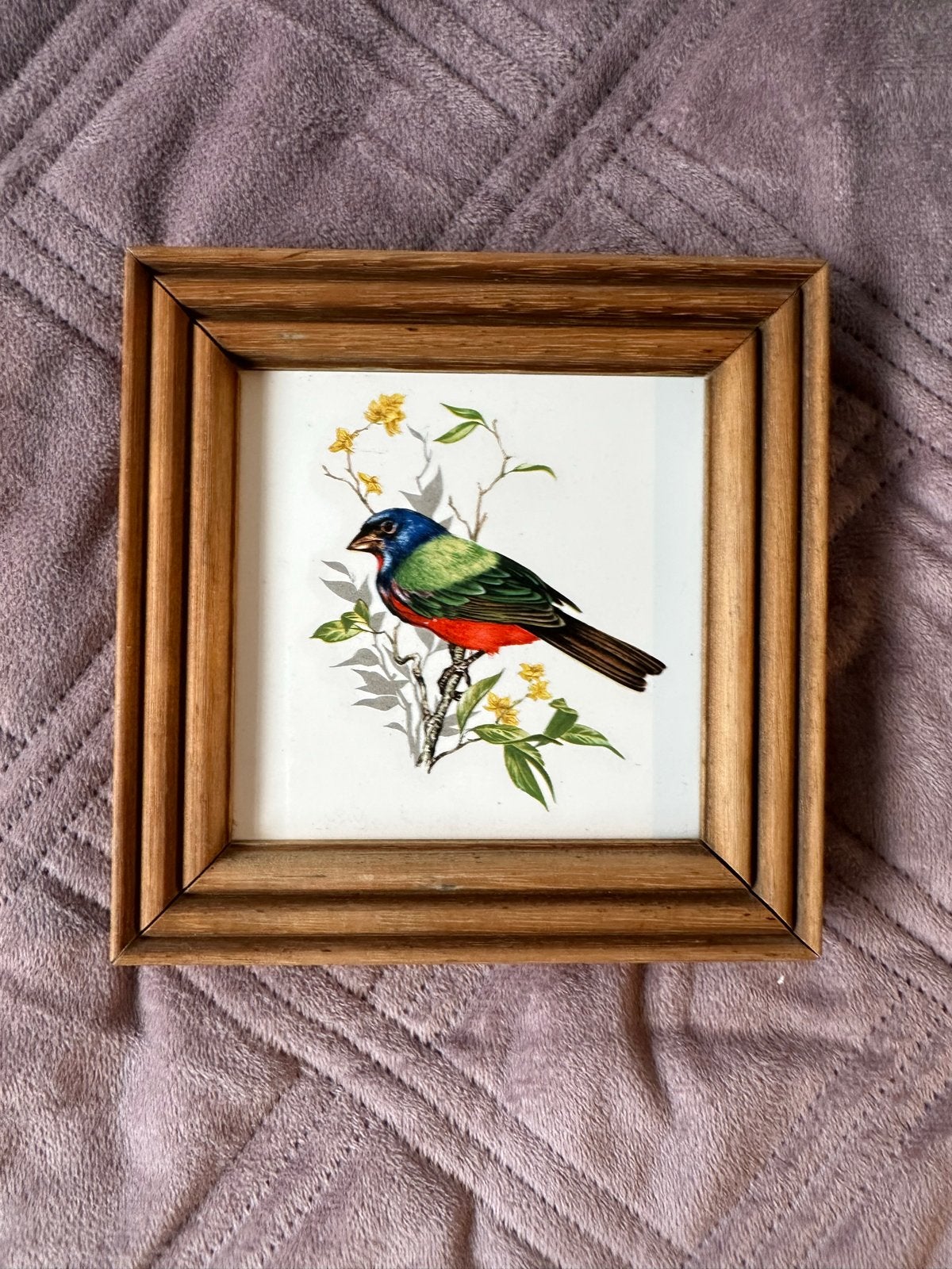 Villeroy & Boch wandtegel met vogelmotief, Ophalen of Verzenden