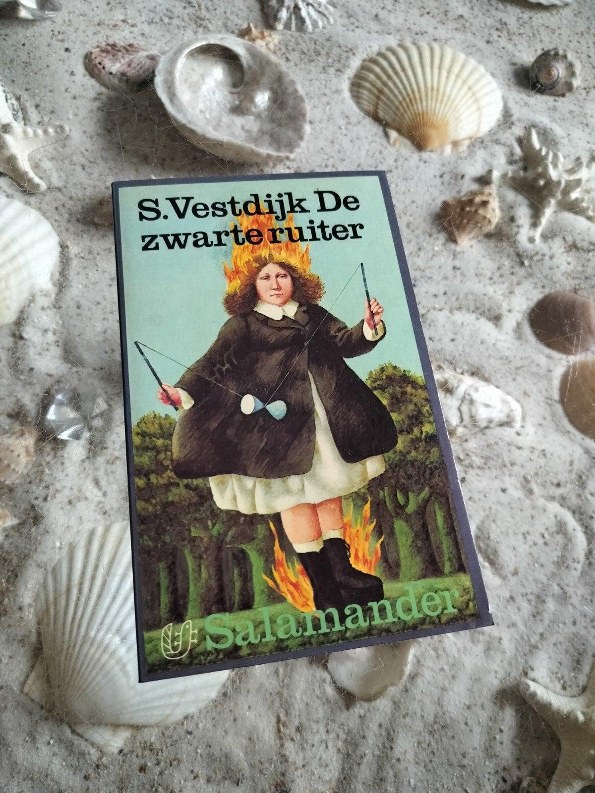 S. Vestdijk - De zwarte ruiter, Boeken, Ophalen of Verzenden, Gelezen, S. Vestdijk