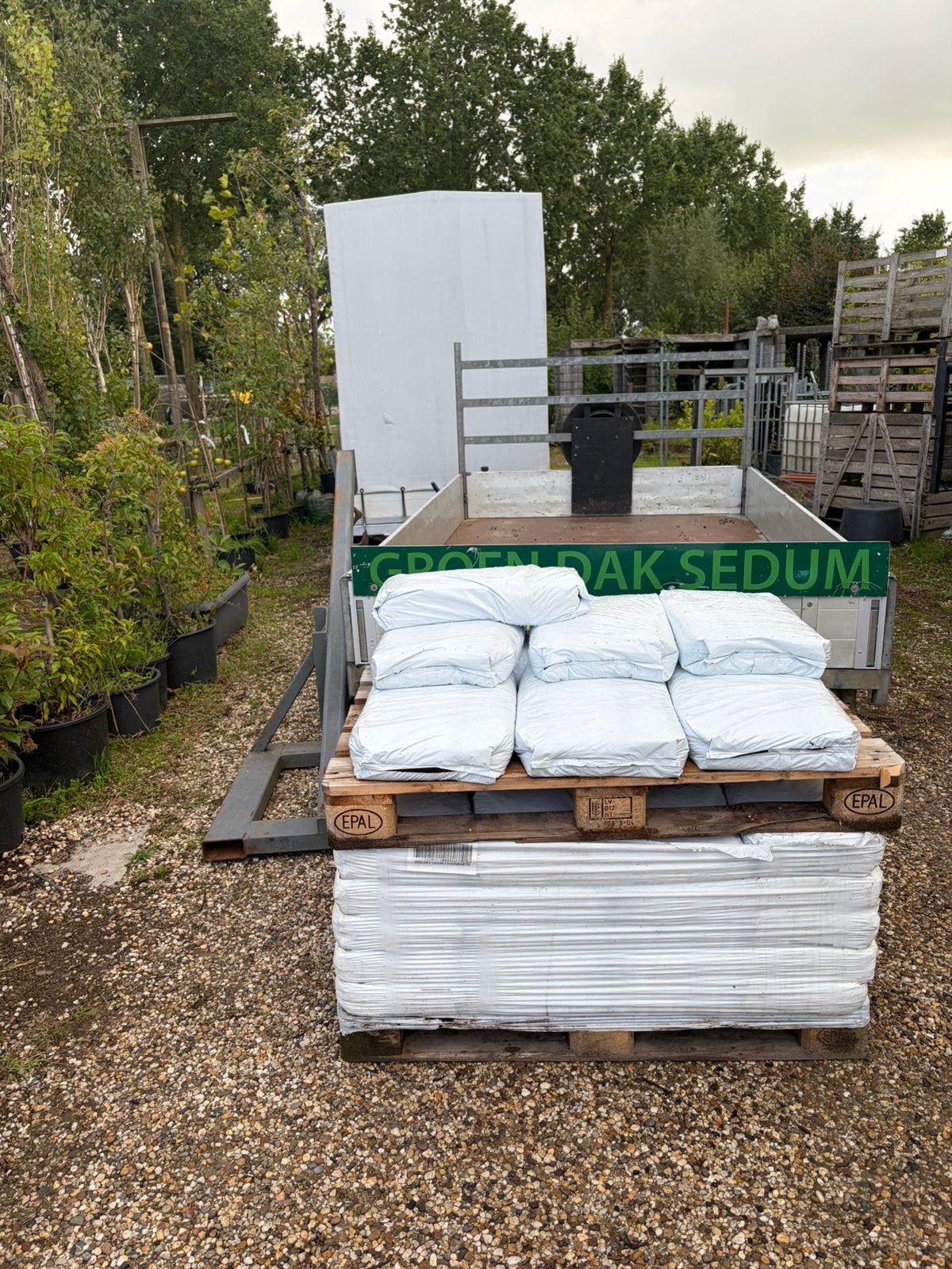 Groen Sedumdak alles voor uw te maken groendak, Overige materialen, Overige kleuren, Overige typen, Nieuw