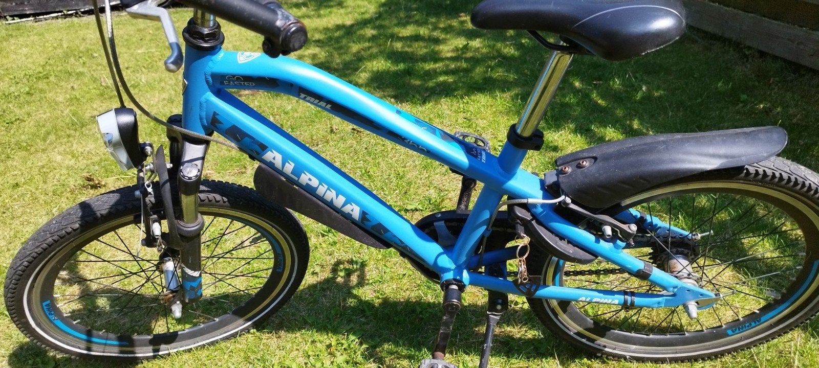 Alpina Trial Kinderfiets - 20 inch - Blauw, Ophalen, Gebruikt, Alpina, Terugtraprem