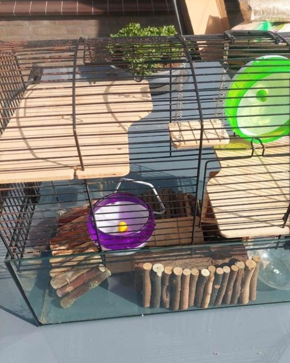 Hamster kooi met toebehoren, Ophalen, Zo goed als nieuw, Overige typen