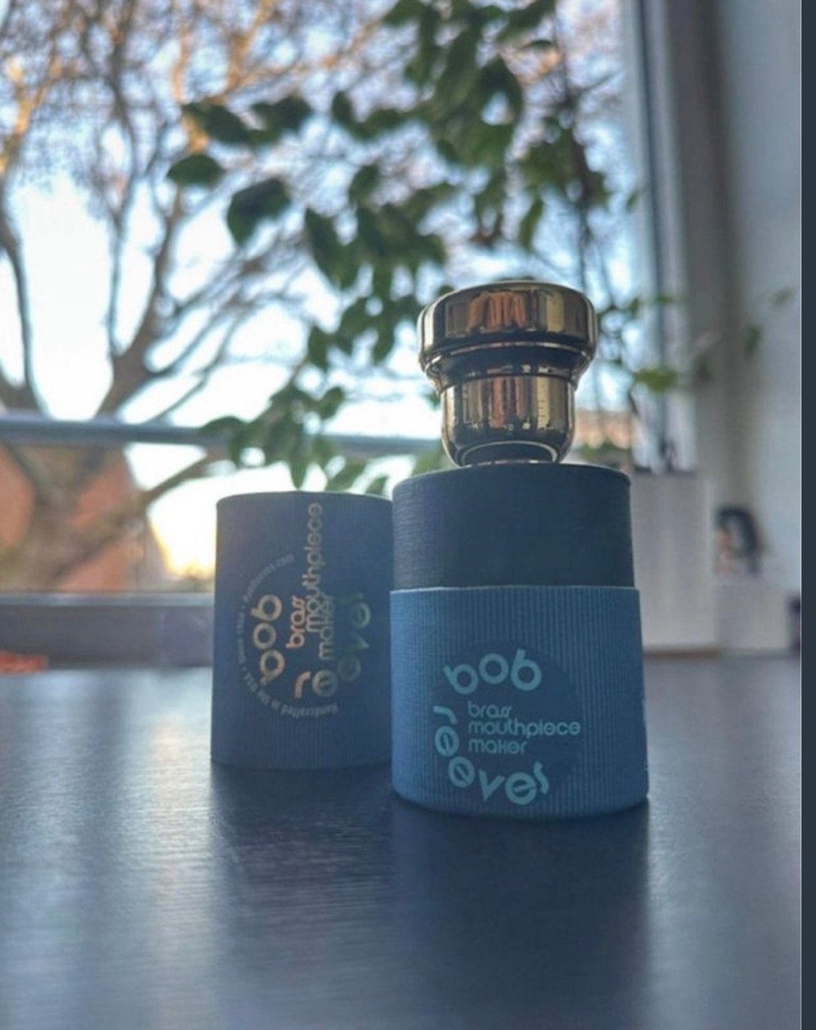 Bastrombone Mondstuk met Koffer, Ophalen of Verzenden, Zo goed als nieuw, Overige typen, Met koffer