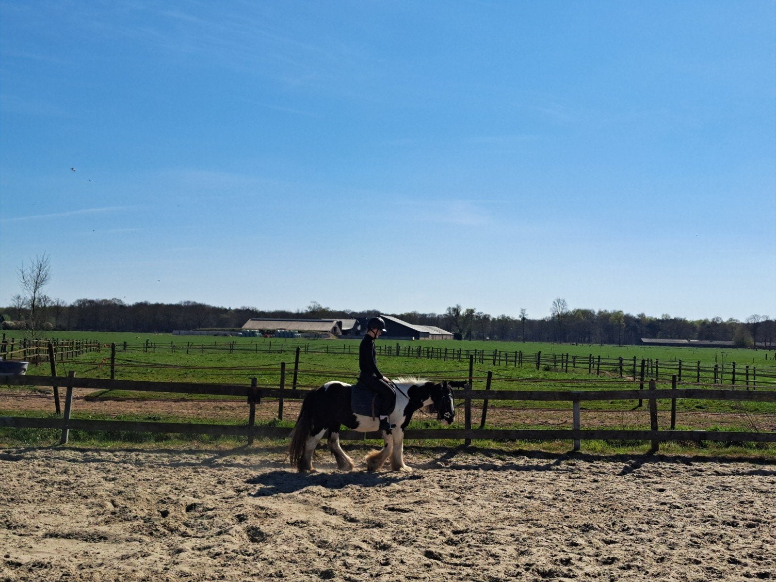 Verzorger gezocht, Dieren en Toebehoren, Ophalen, Nieuw
