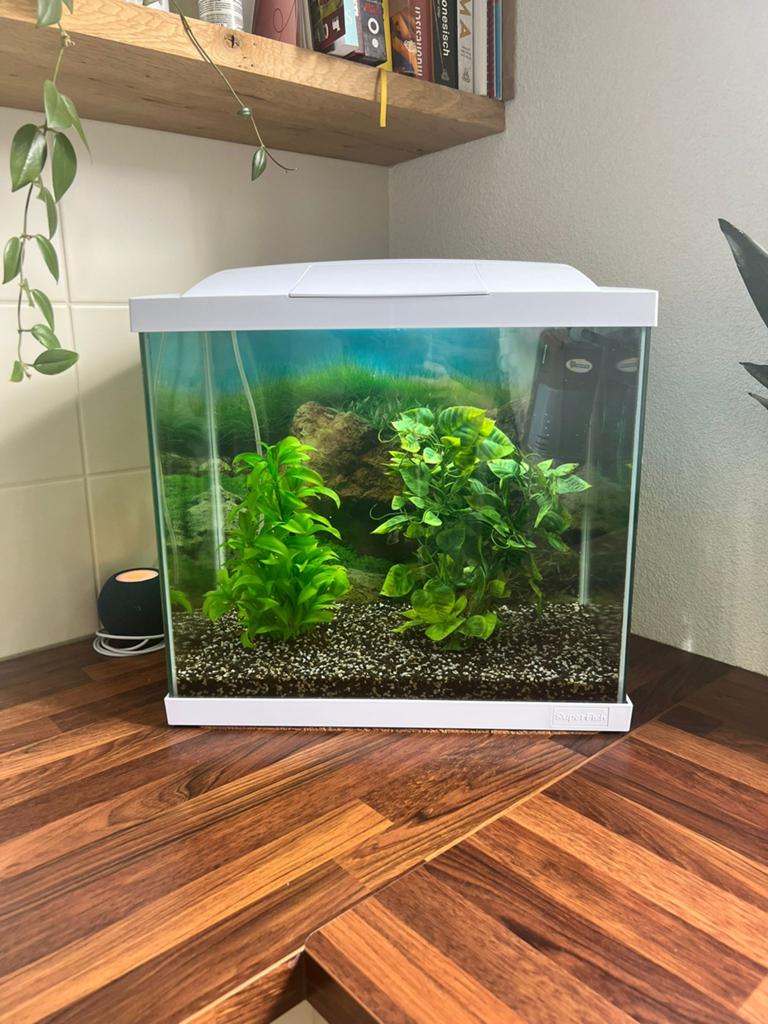 SuperFish Aquarium 45 liter, Dieren en Toebehoren, Ophalen, Zo goed als nieuw, Leeg aquarium