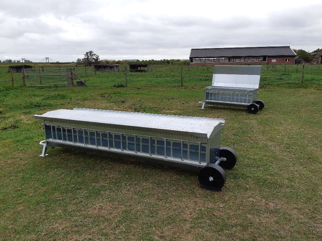Creepfeeder, 2 maten, Mannelijk, Schaap