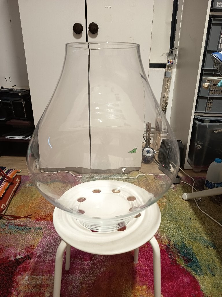 Vaas, Ophalen, 47 cm, Transparant, Glas