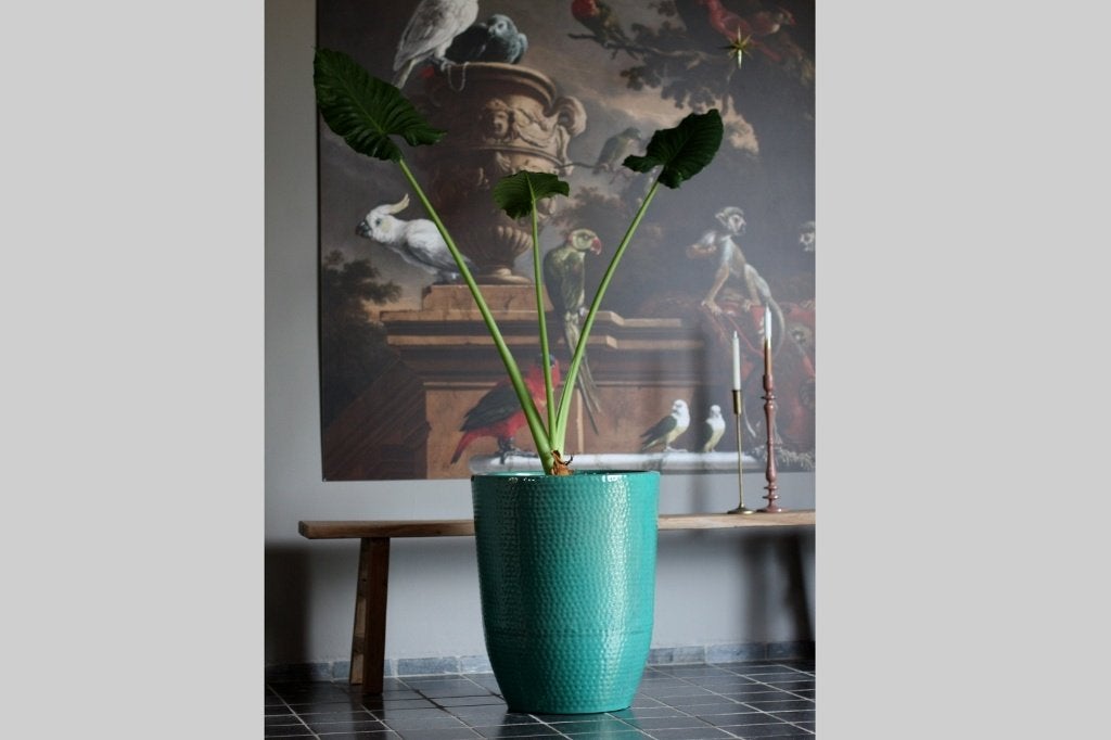 Prachtige hoge grote ronde bloempotten metaal groen 3 maten