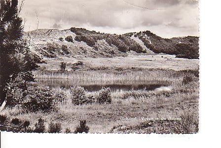Ansichtkaart 	Schoorl	Vijver in de duinen, Verzenden, 1960 tot 1980, Gelopen, Noord-Holland