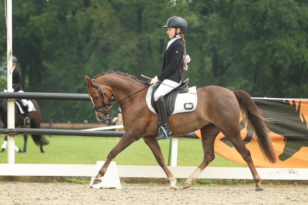 Lieve leuke sportpony welsh te koop!, Dieren en Toebehoren, Paarden, Merrie