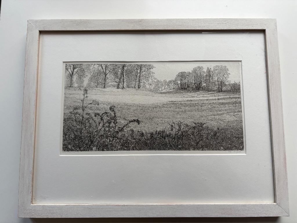 Ets Reinder Homan - Landschap, Antiek en Kunst, Kunst | Etsen en Gravures, 2000 tot heden, Ets, Ophalen of Verzenden, Landschap