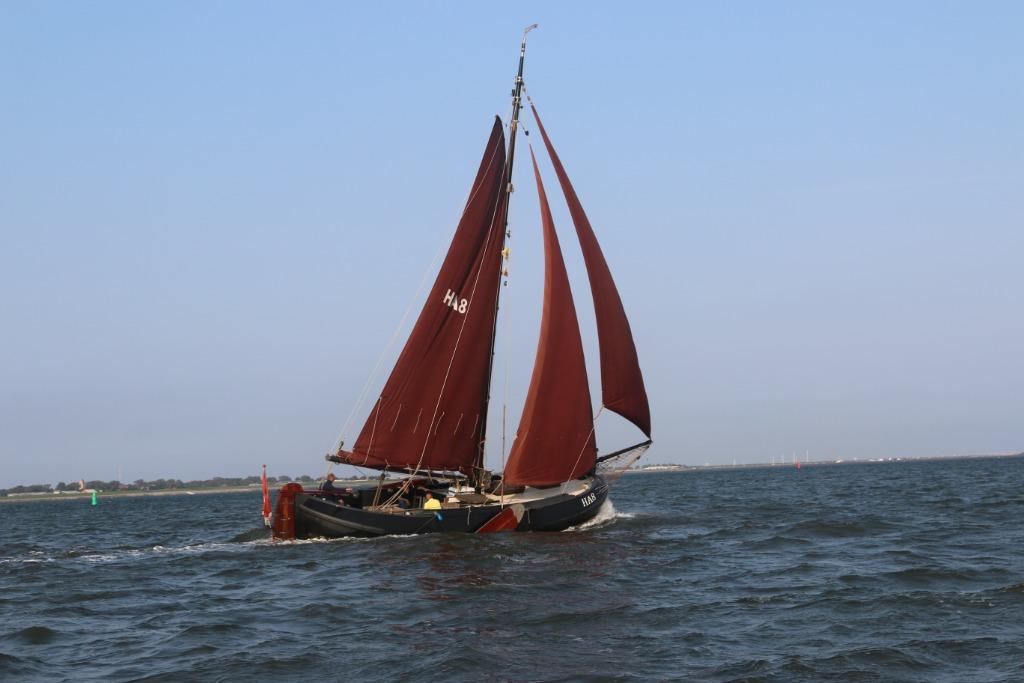 Lemsteraak Visserman Swarte Faam HA8, Diensten en Vakmensen, Verhuur | Boten, Zeilboot of Zeiljacht