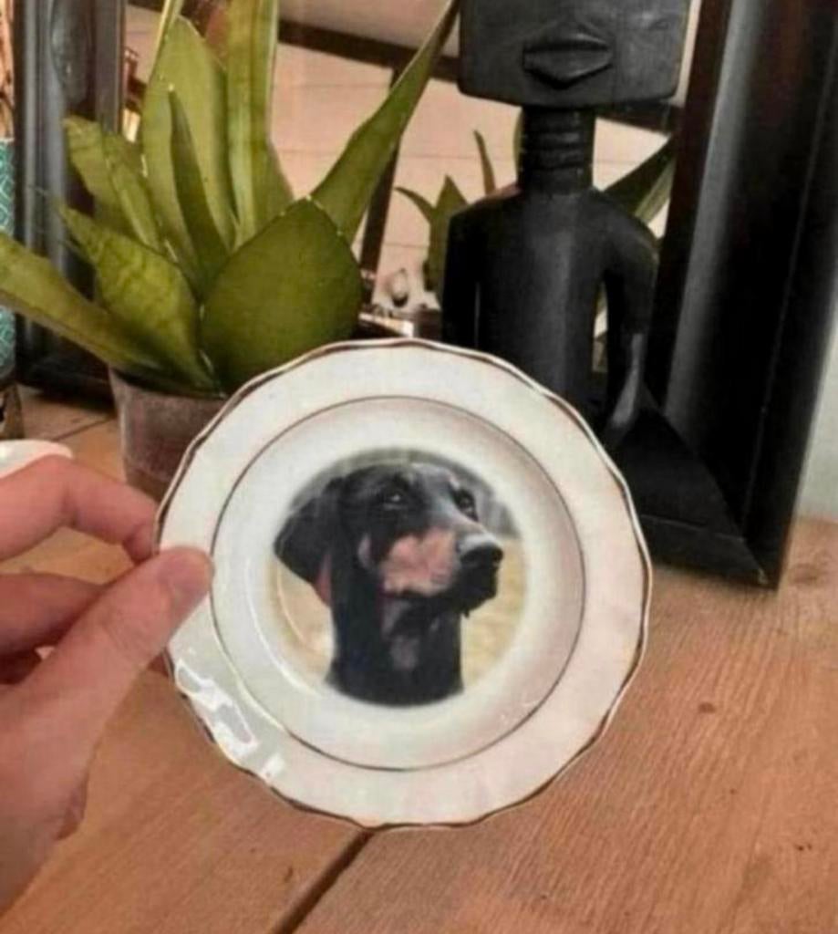 Schoteltje van het merk faithful friends met een teckel, Ophalen of Verzenden