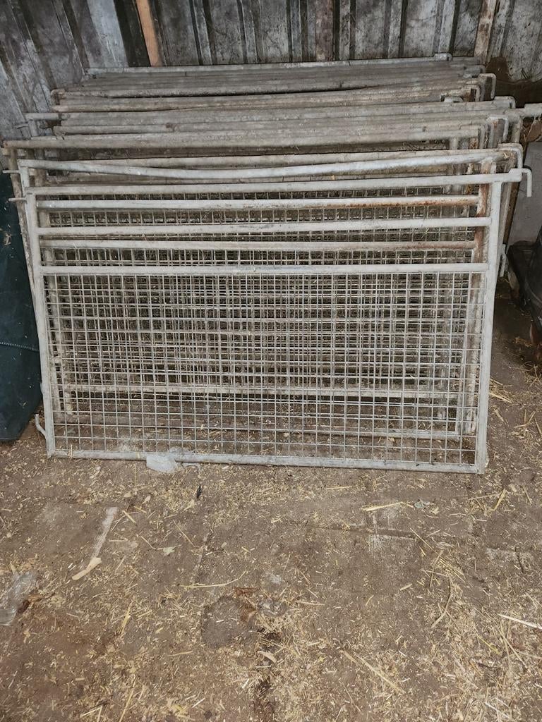 Te koop hekjes, Dieren en Toebehoren, Schapen, Geiten en Varkens, Meerdere dieren, Schaap