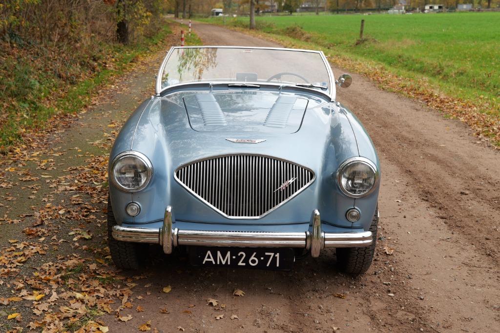 Austin Healey 100/4 BN1 – Le Mans Specification - 1955, Achterwielaandrijving, 4 cilinders, Cabriolet, Blauw