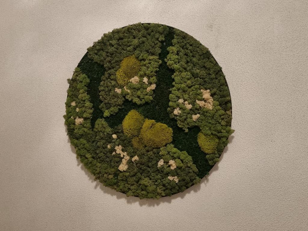 MOSSCHILDERIJEN GEMAAKT VAN NOORS RENDIERMOS, PLAT-OF BOLMOS, Ophalen of Verzenden, Nieuw