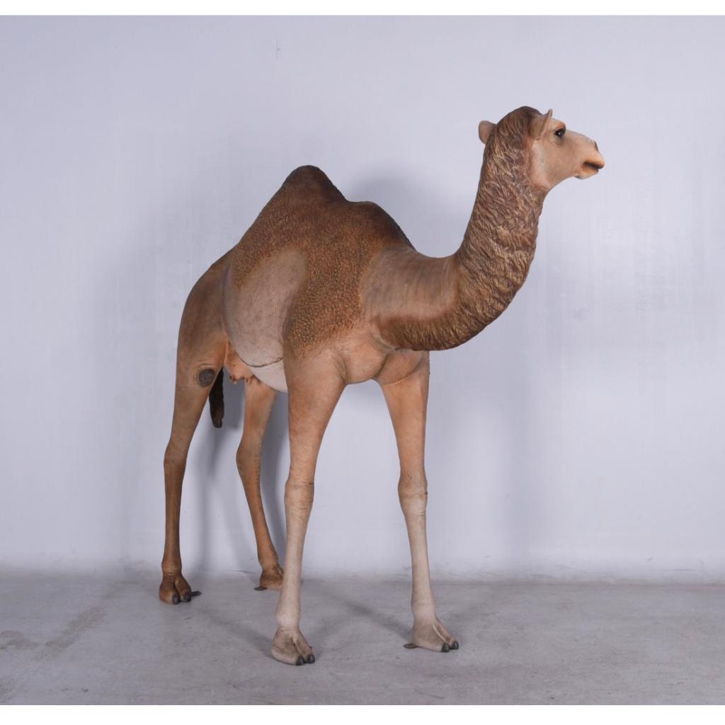 Dromedary Camel – Dromedaris beeld Lengte 250 cm