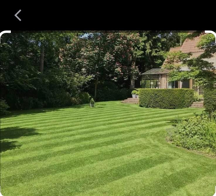 Tuinman / Tuinhulp (ook in te huren voor bedrijven), Diensten en Vakmensen, Tuinmannen en Stratenmakers