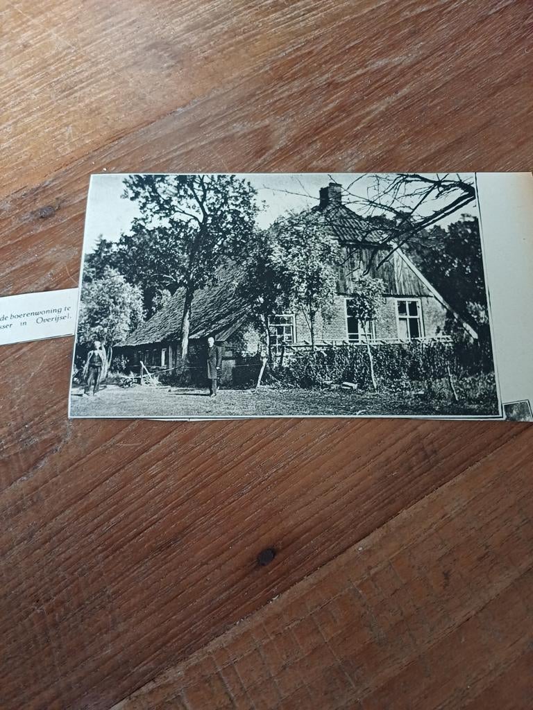 Knipsel Losser 1931, Verzamelen, Ophalen of Verzenden, 1920 tot 1940, Knipsel(s)