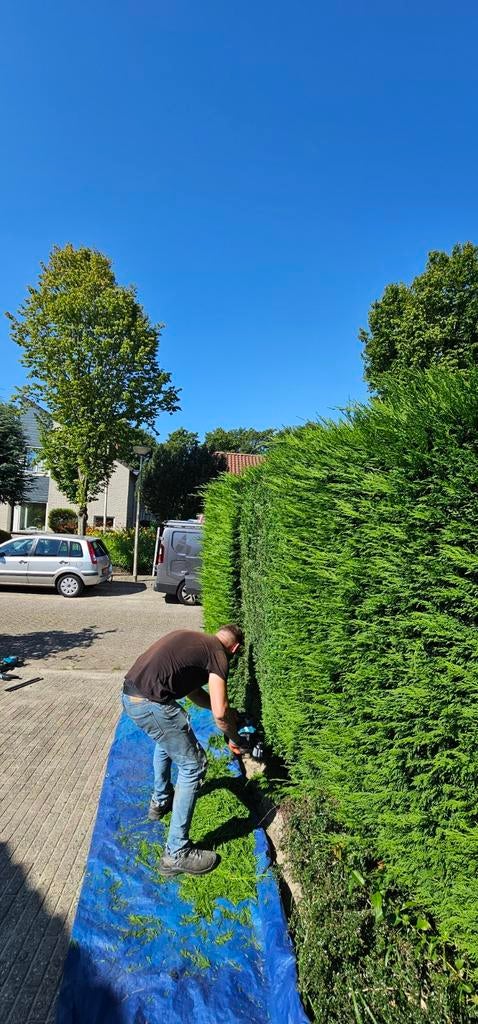 Tuinman, Garantie, Tuinontwerp