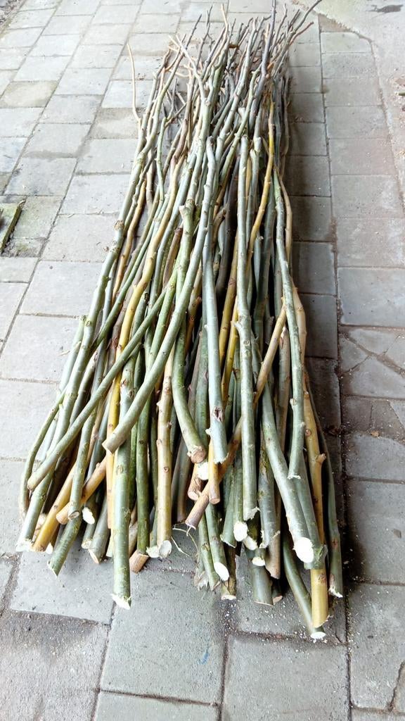 Bonenstaken ongeveer 3 meter lang, 60 stuks in 1 koop, Ophalen