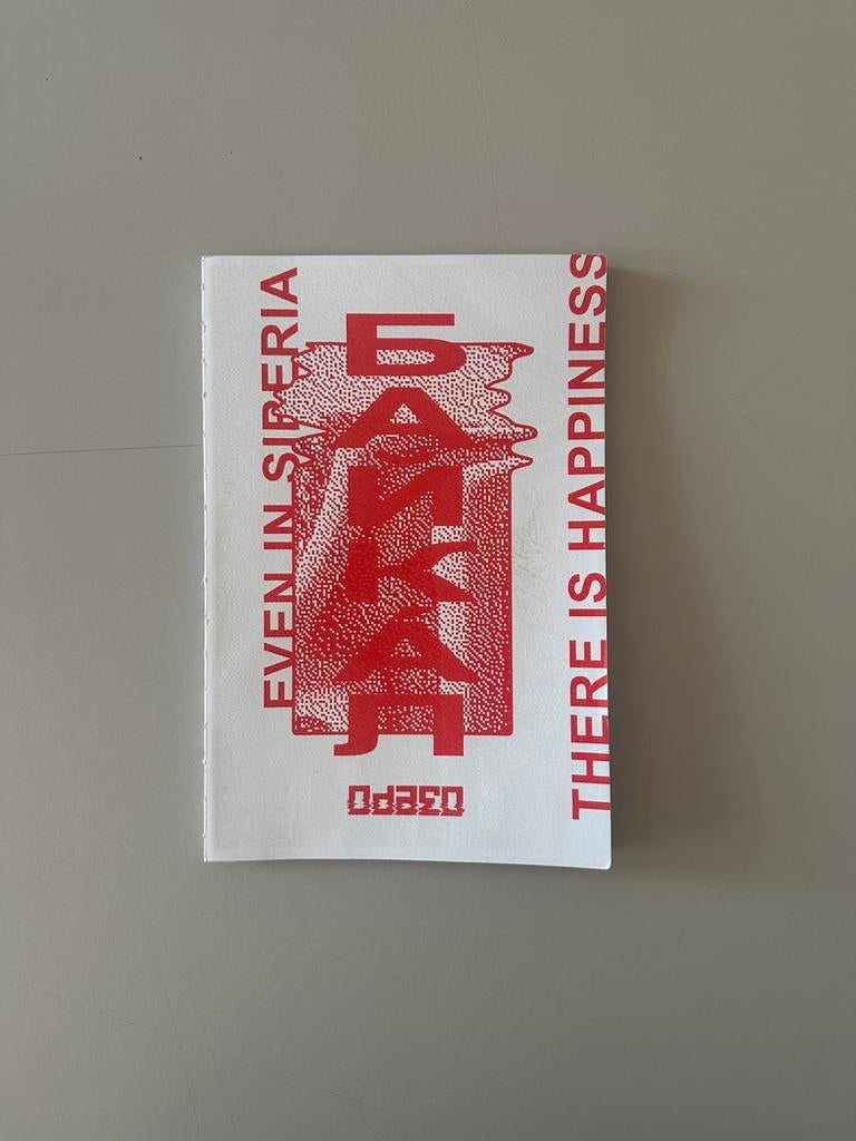 Carhartt WIP x Absurd Skateboards O3EPO Documentatie, Boeken, Ophalen of Verzenden, Gelezen