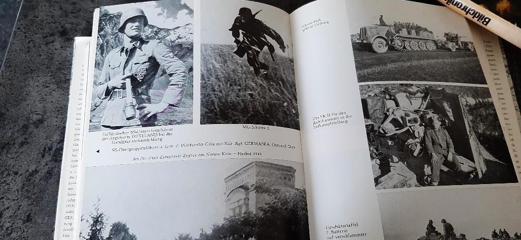 Panzerdivision Wiking, Boeken, Ophalen of Verzenden, Tweede Wereldoorlog, Gelezen, Overige onderwerpen