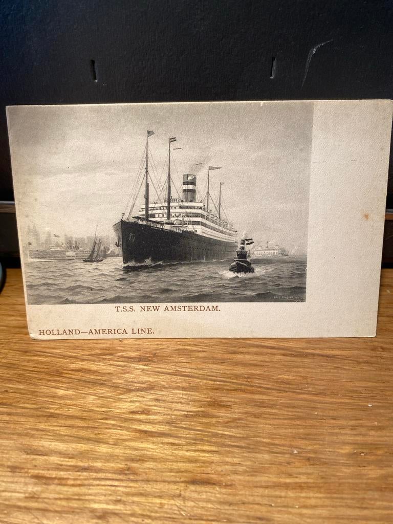 Tss new amsterdam holland america line, Verzamelen, Ophalen of Verzenden
