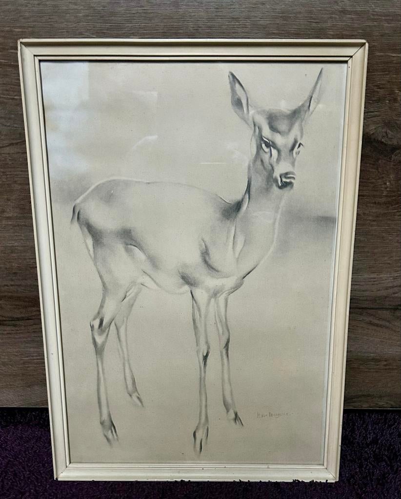 Tekening van een hert door H. van Meegeren, vintage, Ophalen of Verzenden