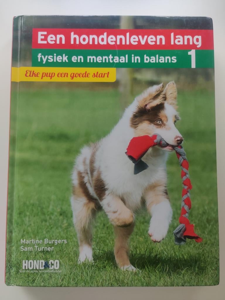Martine Burgers - Elke pup een goede start, Boeken, Dieren en Huisdieren, Honden, Ophalen of Verzenden, Zo goed als nieuw, Martine Burgers; Sam Turner
