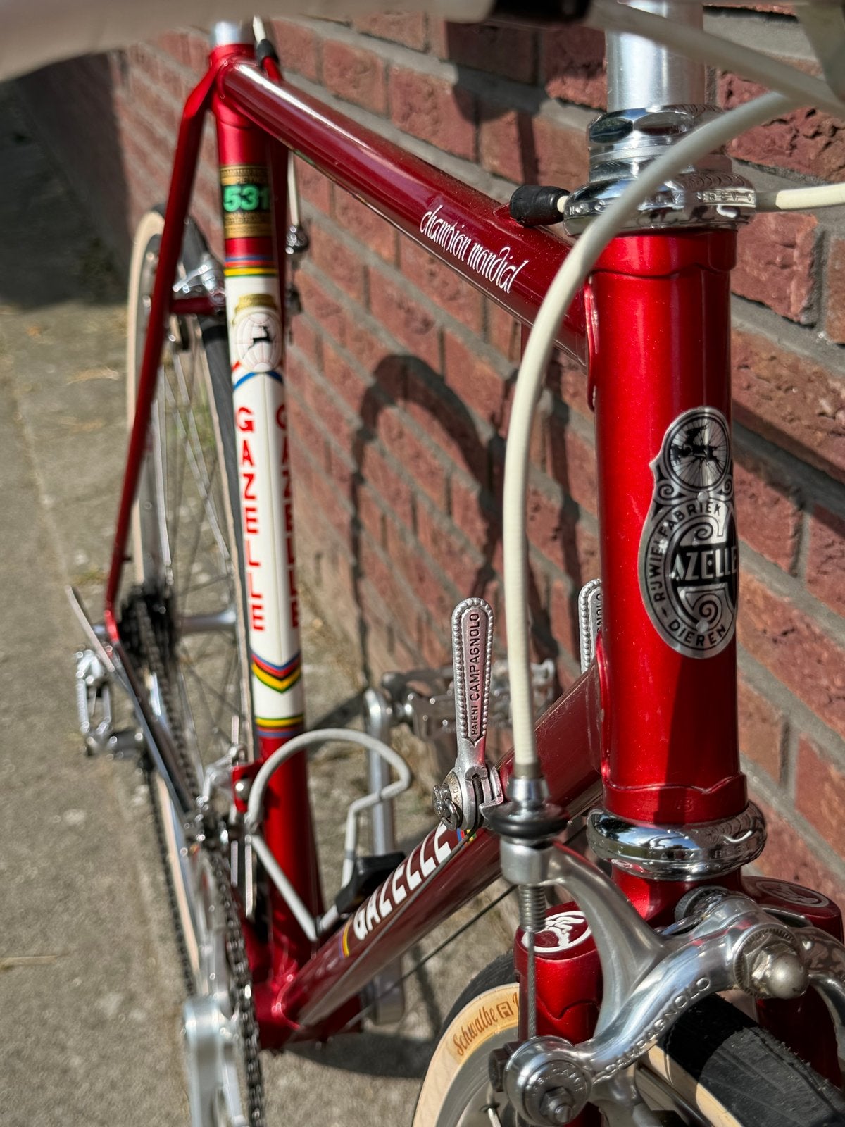 Gazelle Champion Mondial AA Special Frame  - Campagnolo, Fietsen en Brommers, Fietsen | Racefietsen, Gebruikt, Heren, Gazelle