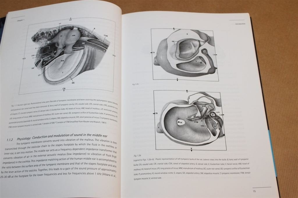 The Stapedius Muscle of the Rat — Medisch Proefschrift [EN], Boeken, Ophalen of Verzenden, Gelezen, Natuurwetenschap