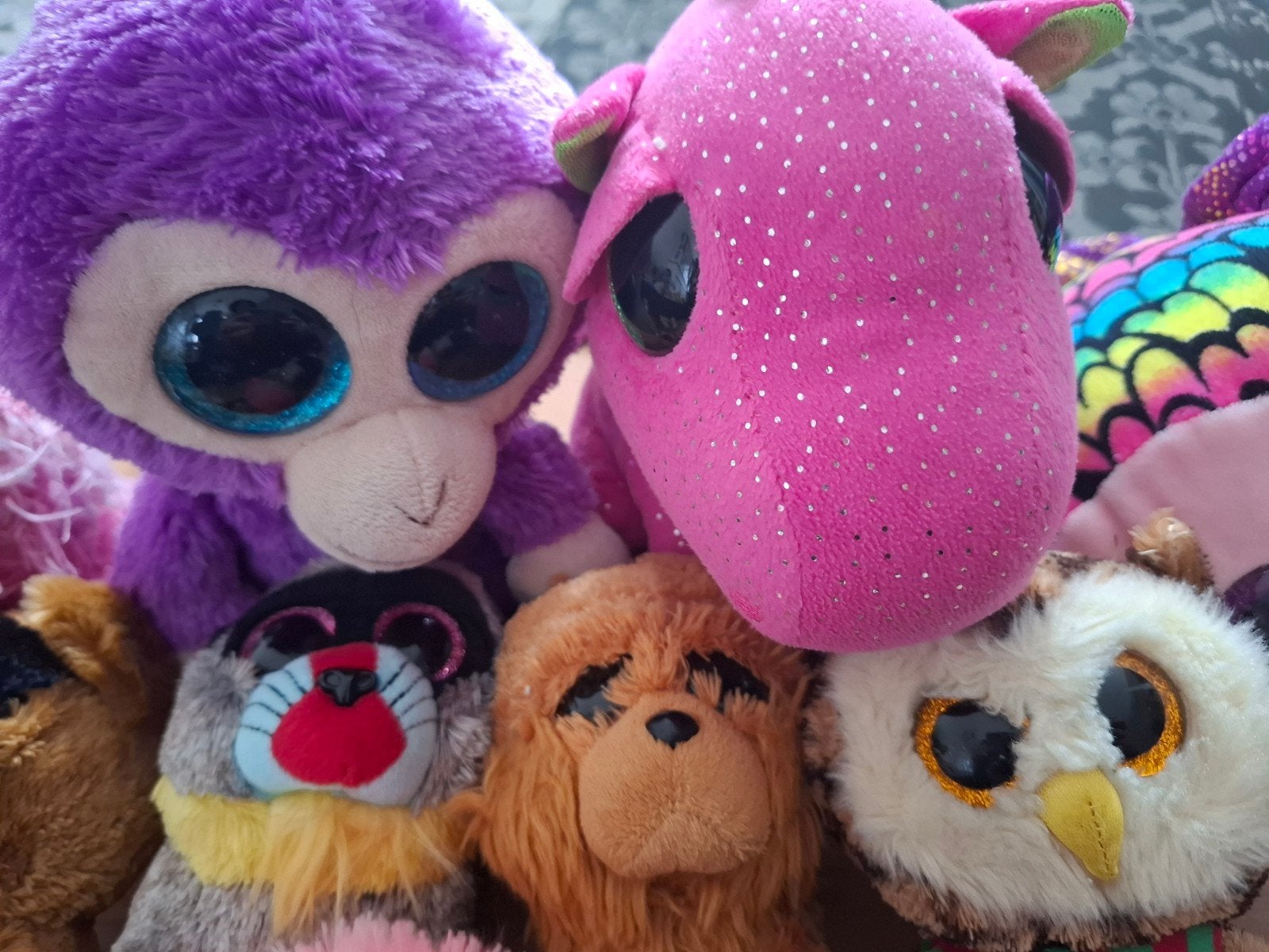 Grote collectie Ty Beanie Boo's knuffels, Gebruikt, Overige karakters, Middelgroot (20 tot 80 cm), Ophalen