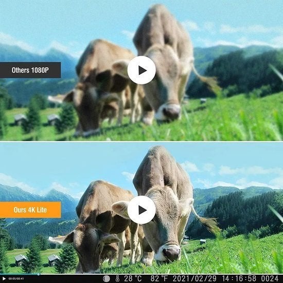 Foto 5 van Wildcamera – Trail Camera – Jachtcamera – Wildlife Camera