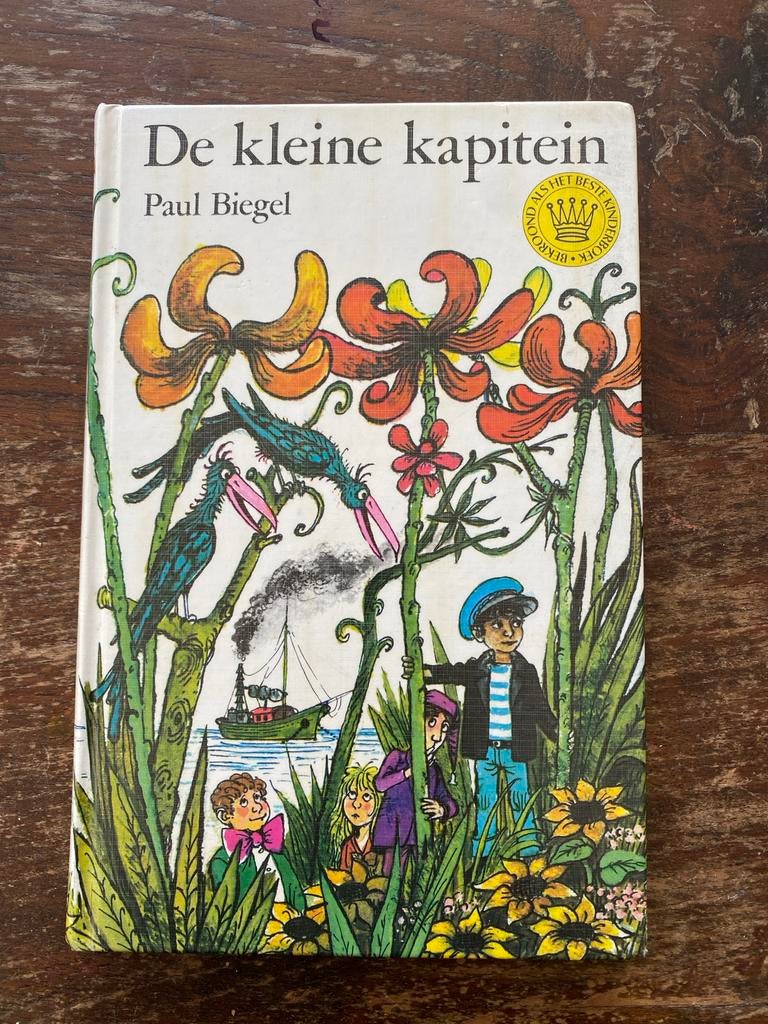 De kleine kapitein - Paul Biegel, Ophalen of Verzenden, Gelezen, Fictie algemeen