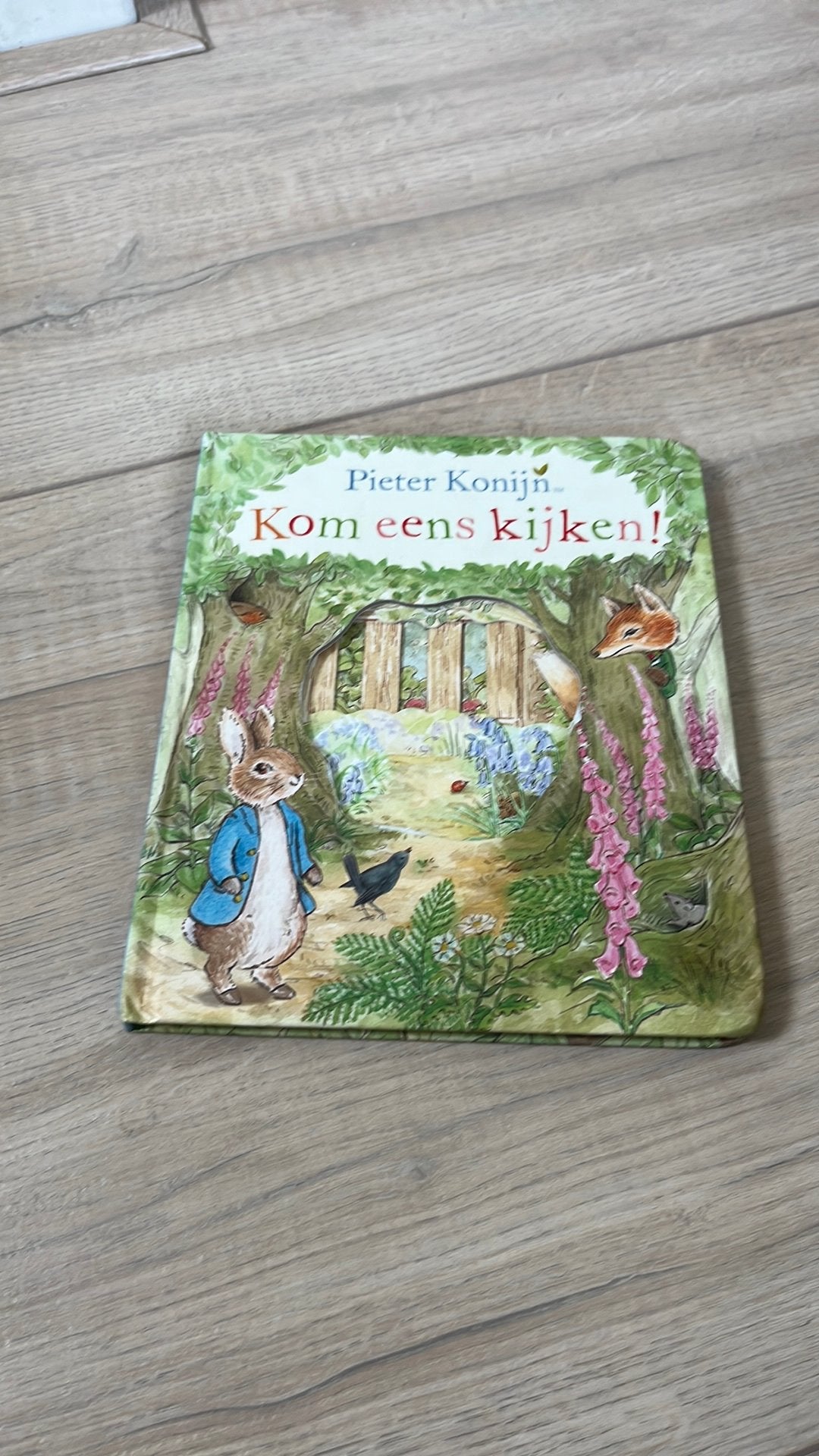 Beatrix Potter - Pieter Konijn: Kom eens kijken, Boeken, 3 tot 4 jaar, Beatrix Potter, Ophalen of Verzenden, Zo goed als nieuw