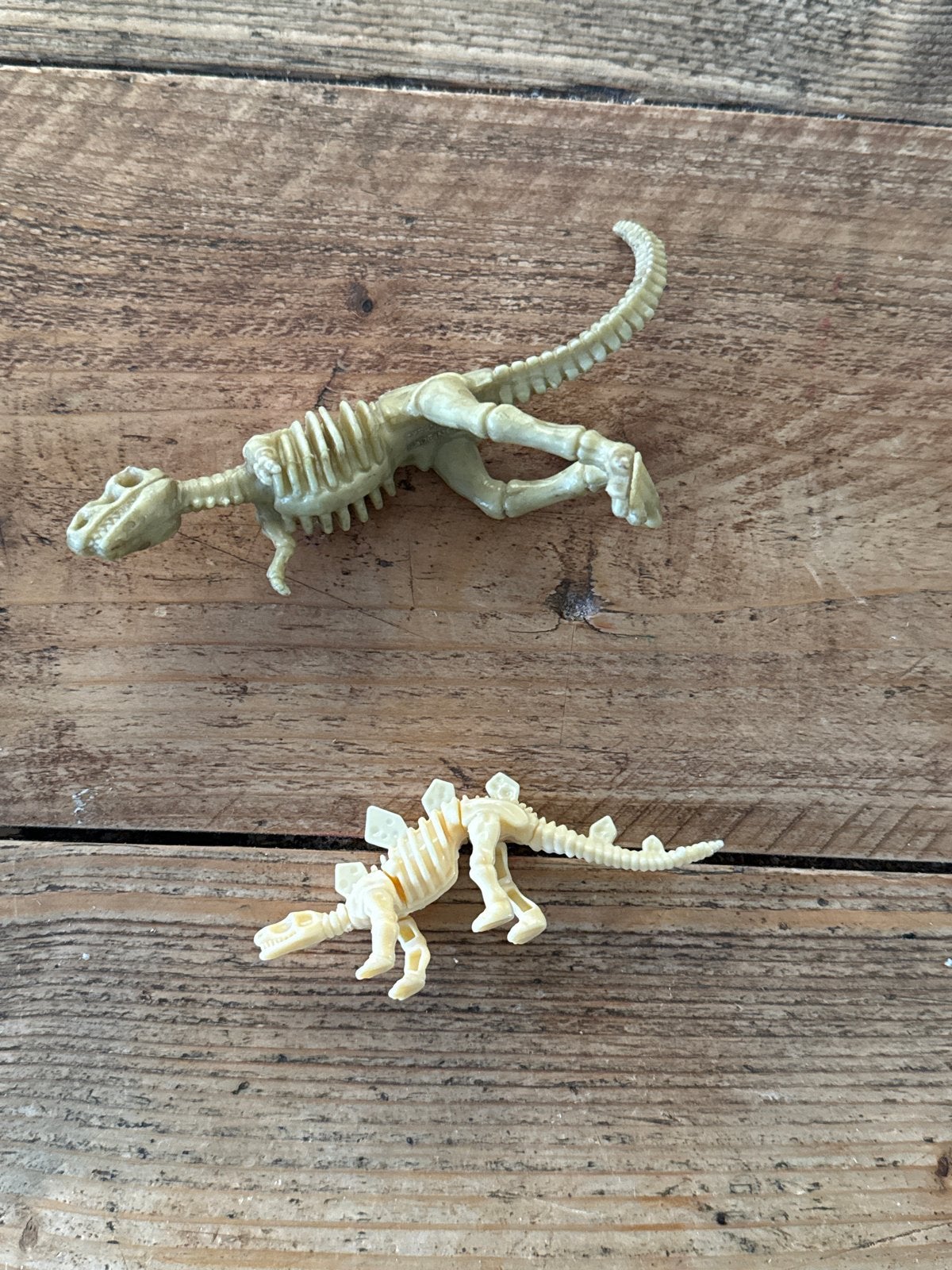 Dinosaurus skelet speelgoed - set van 2, Ophalen of Verzenden, Gebruikt, Jongen of Meisje