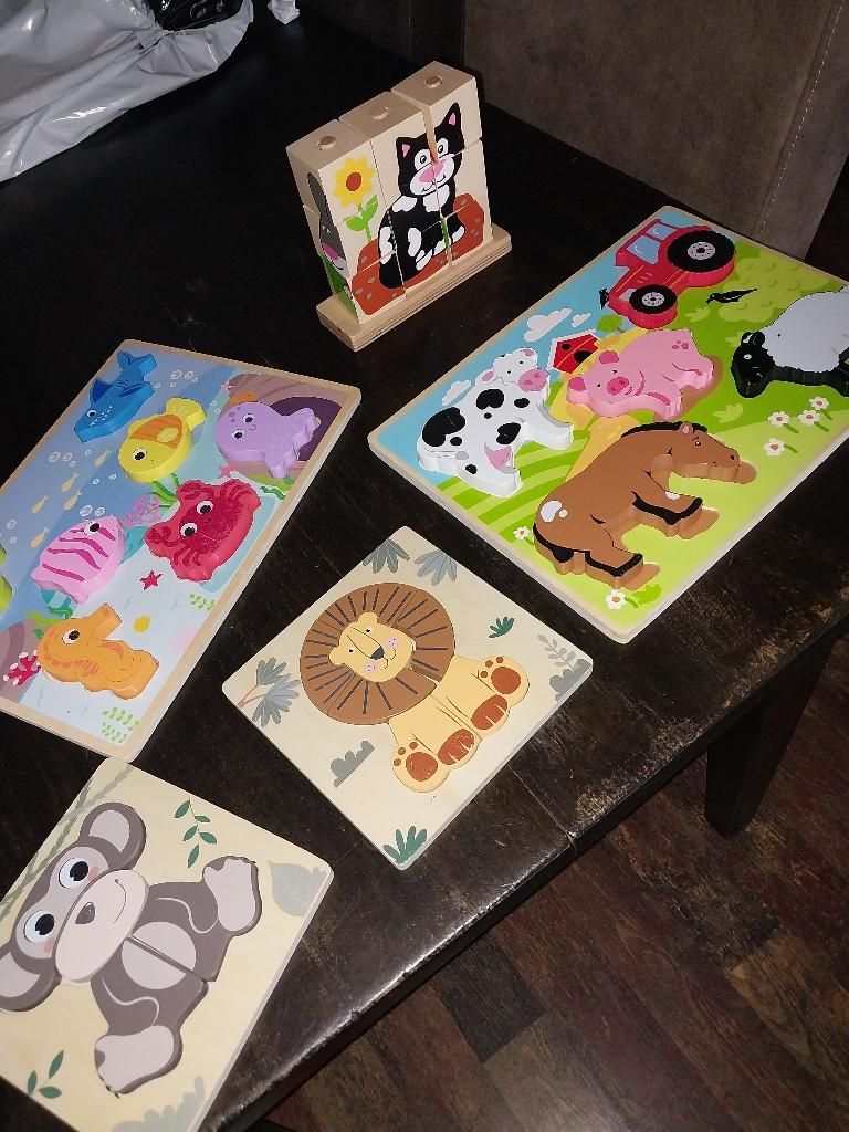 Diverse houten puzzels, Ophalen of Verzenden, Zo goed als nieuw, Van hout, Minder dan 10 stukjes