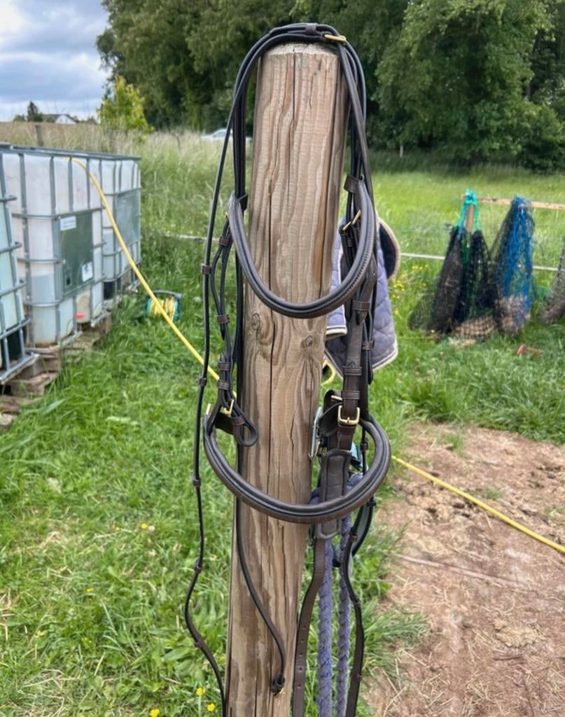 Hoofdstel bruin full, Dieren en Toebehoren, Paarden en Pony's | Hoofdstellen en Tuigage, Ophalen of Verzenden, Dressuur