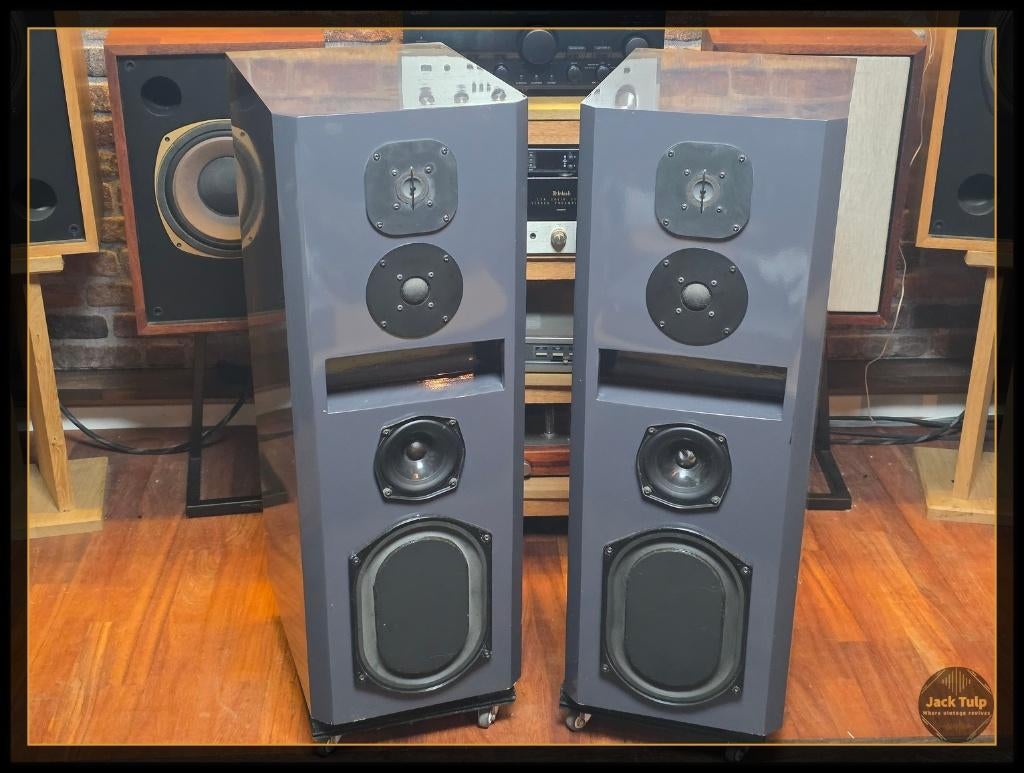 Rogers Monitor RMTL transmissielijn speakers, Audio, Tv en Foto, Luidsprekers, Gebruikt, ., 60 tot 120 watt, .