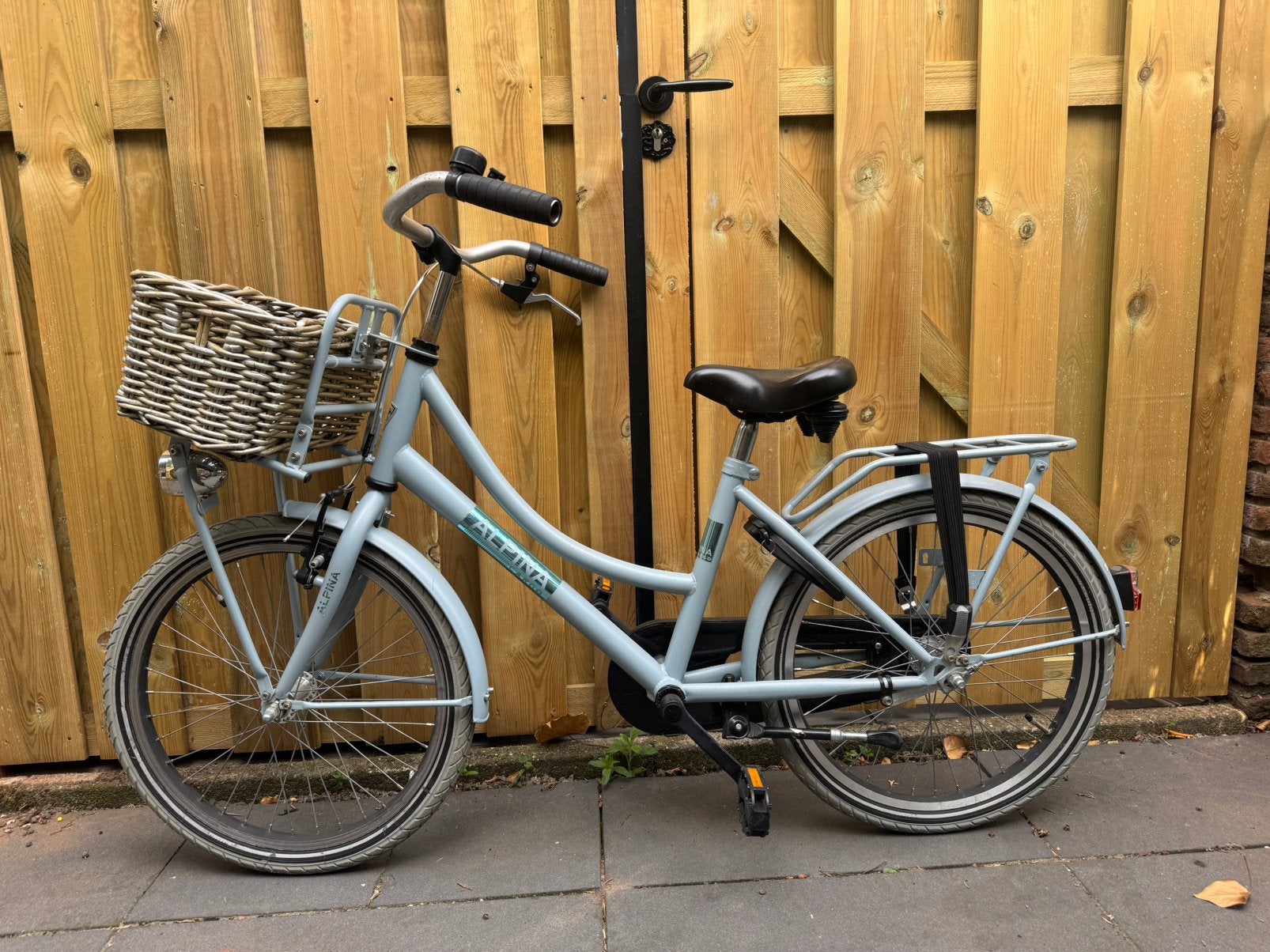 Alpina Cargo 20inch meisjes fiets, Fietsen en Brommers, Fietsen | Meisjes, Ophalen, Terugtraprem, Gebruikt, Handrem