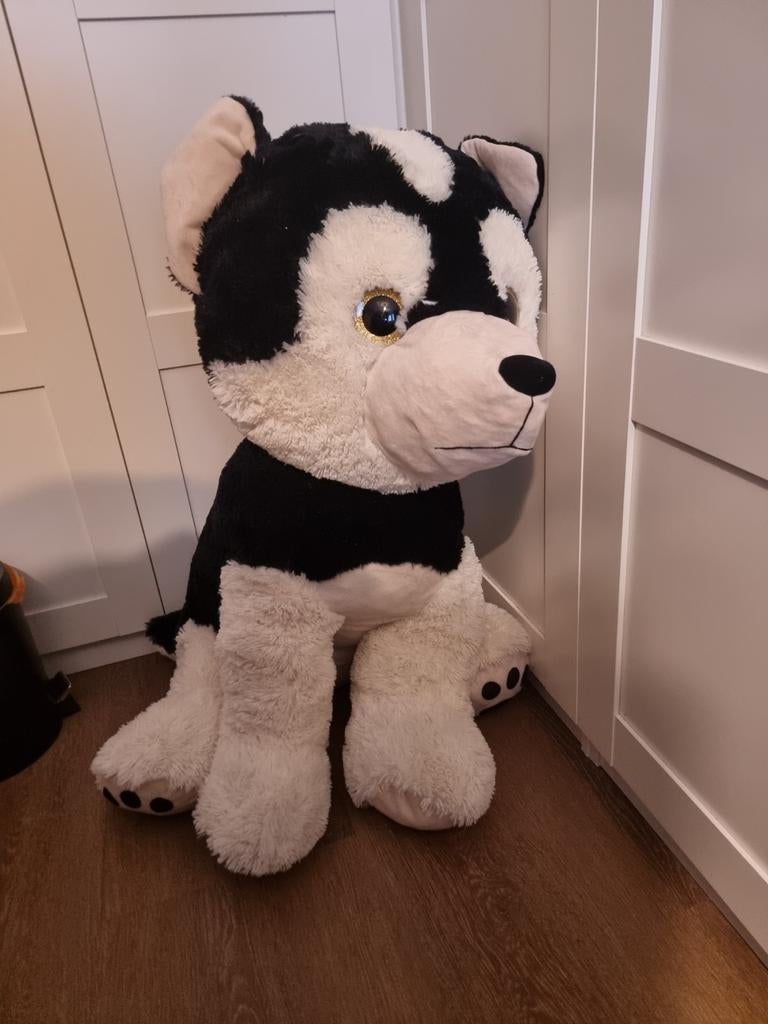 Grote knuffel hond - Husky, Ophalen of Verzenden, Zo goed als nieuw, Hond