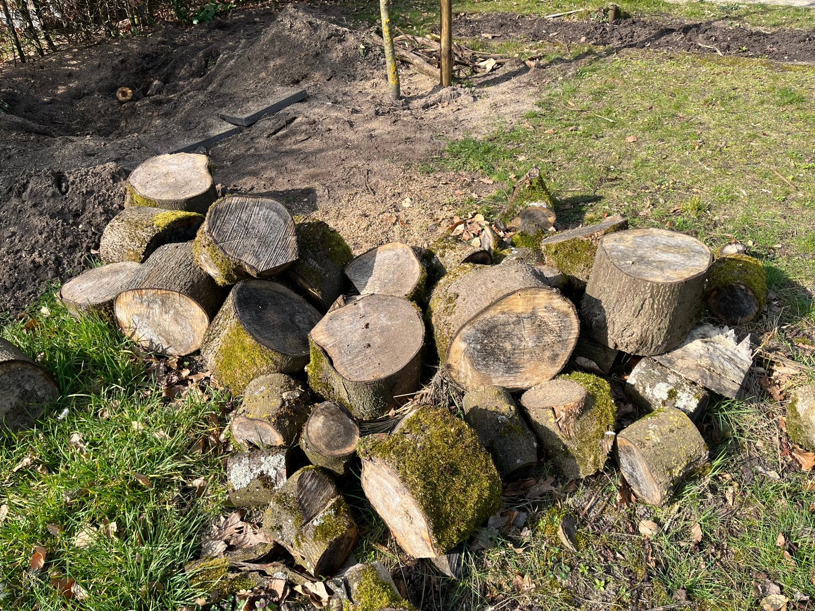 Haardhout blokken hout ca 1 kuub gratis ophalen, Tuin en Terras, Haardhout, Minder dan 3 m³, Ophalen
